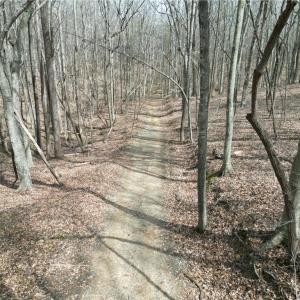 Photo #5 of Tilden Nursery, Lexington, NC 11.9 acres