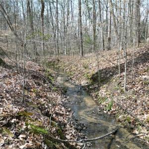 Photo #20 of Tilden Nursery, Lexington, NC 11.9 acres