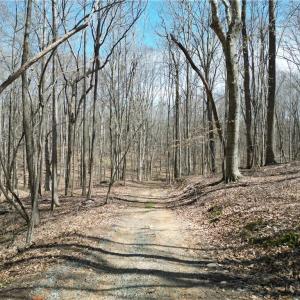 Photo #10 of Tilden Nursery, Lexington, NC 11.9 acres