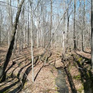 Photo #14 of Tilden Nursery, Lexington, NC 11.9 acres