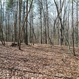 Photo #18 of Tilden Nursery, Lexington, NC 11.9 acres