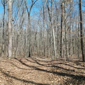 Photo #11 of Tilden Nursery, Lexington, NC 11.9 acres