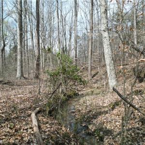 Photo #19 of Tilden Nursery, Lexington, NC 11.9 acres