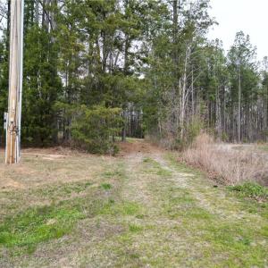 Photo #8 of Tilden Nursery, Lexington, NC 11.9 acres