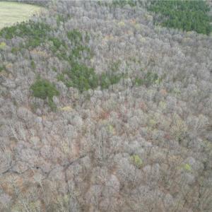 Photo #25 of Tilden Nursery, Lexington, NC 11.9 acres