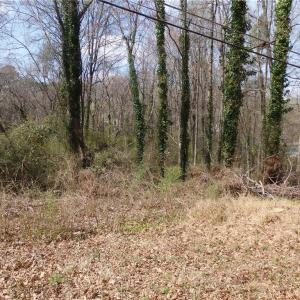 Photo #2 of Chestnut, Asheboro, NC 1.0 acres