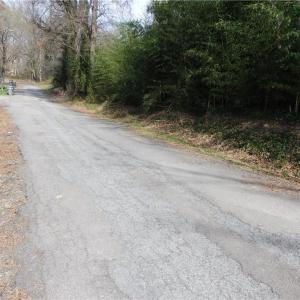 Photo #6 of Chestnut, Asheboro, NC 1.0 acres