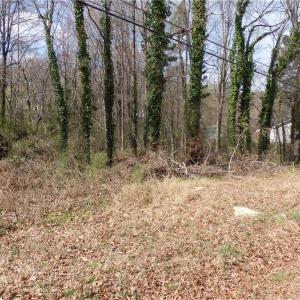 Photo #3 of Chestnut, Asheboro, NC 1.0 acres