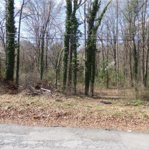 Photo #4 of Chestnut, Asheboro, NC 1.0 acres