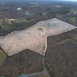 Photo #2 of 8220 Southerland, Browns Summit, NC 59.8 acres