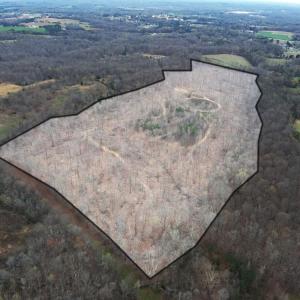 Photo #6 of 8220 Southerland, Browns Summit, NC 59.8 acres