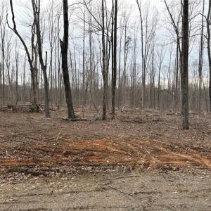 Photo #13 of 8220 Southerland, Browns Summit, NC 59.8 acres