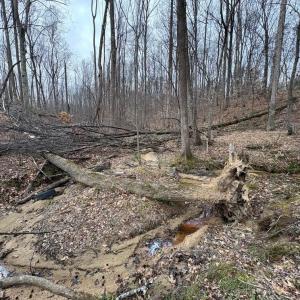 Photo #17 of 8220 Southerland, Browns Summit, NC 59.8 acres