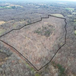 Photo #7 of 8220 Southerland, Browns Summit, NC 59.8 acres