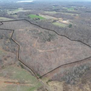 Photo #3 of 8220 Southerland, Browns Summit, NC 59.8 acres