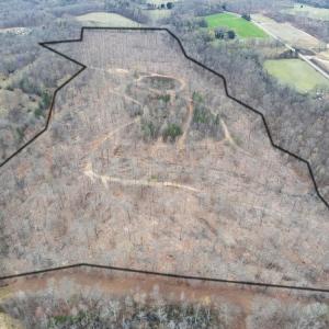 Photo #5 of 8220 Southerland, Browns Summit, NC 59.8 acres