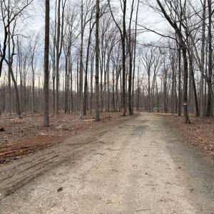 Photo #14 of 8220 Southerland, Browns Summit, NC 59.8 acres