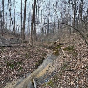 Photo #18 of 8220 Southerland, Browns Summit, NC 59.8 acres