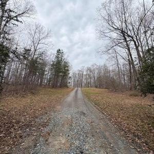 Photo #11 of 8220 Southerland, Browns Summit, NC 59.8 acres