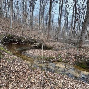 Photo #19 of 8220 Southerland, Browns Summit, NC 59.8 acres