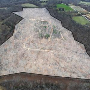 Photo #4 of 8220 Southerland, Browns Summit, NC 59.8 acres