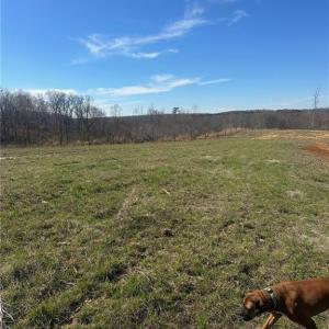 Photo #3 of 8451 Witty, Summerfield, NC 16.8 acres