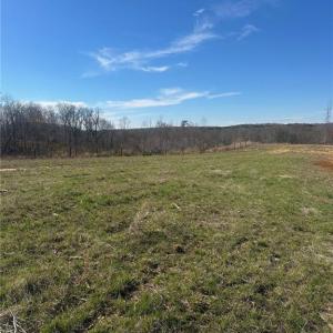 Photo #5 of 8451 Witty, Summerfield, NC 16.8 acres