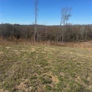 Photo #7 of 8451 Witty, Summerfield, NC 16.8 acres