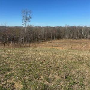 Photo #5 of 8451 Witty, Summerfield, NC 16.8 acres