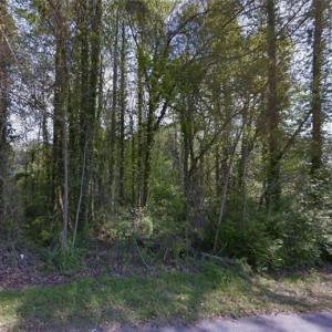 Photo #1 of Charles, Asheboro, NC 0.9 acres