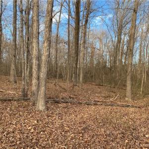 Photo #6 of 5724 Frieden Church, McLeansville, NC 20.9 acres