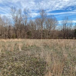 Photo #5 of 5724 Frieden Church, McLeansville, NC 20.9 acres