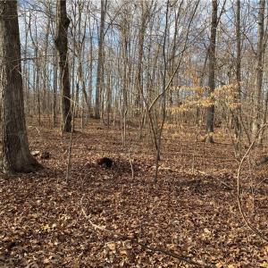 Photo #10 of 5724 Frieden Church, McLeansville, NC 20.9 acres