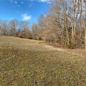 Photo #4 of 5724 Frieden Church, McLeansville, NC 20.9 acres