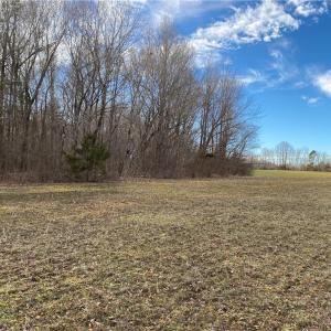 Photo #8 of 5724 Frieden Church, McLeansville, NC 20.9 acres