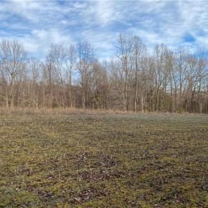 Photo #3 of 5724 Frieden Church, McLeansville, NC 20.9 acres