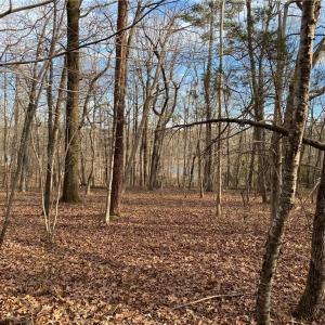 Photo #9 of 5724 Frieden Church, McLeansville, NC 20.9 acres