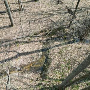 Photo #23 of Tilden Nursery, Lexington, NC 10.0 acres