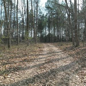 Photo #2 of Tilden Nursery, Lexington, NC 10.0 acres