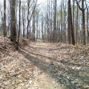 Photo #13 of Tilden Nursery, Lexington, NC 10.0 acres