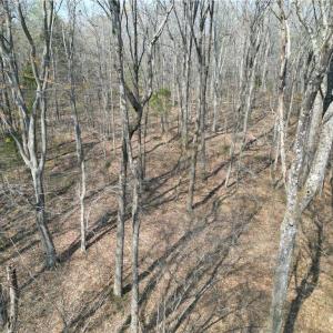 Photo #17 of Tilden Nursery, Lexington, NC 10.0 acres