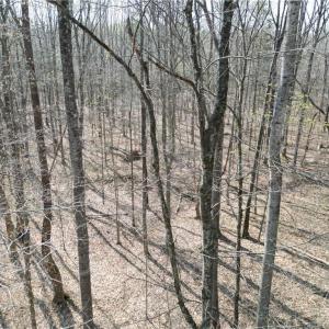 Photo #16 of Tilden Nursery, Lexington, NC 10.0 acres