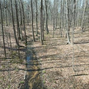 Photo #12 of Tilden Nursery, Lexington, NC 10.0 acres