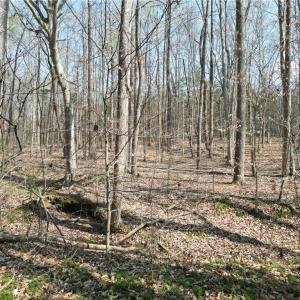 Photo #26 of Tilden Nursery, Lexington, NC 10.0 acres