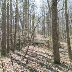 Photo #7 of Tilden Nursery, Lexington, NC 10.0 acres