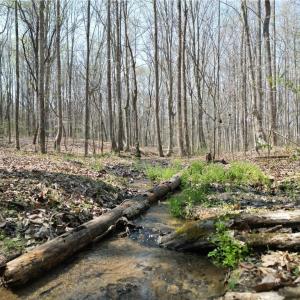 Photo #5 of Tilden Nursery, Lexington, NC 10.0 acres