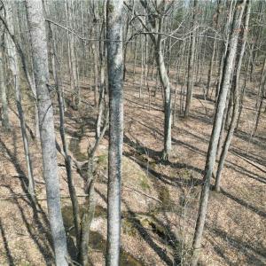 Photo #24 of Tilden Nursery, Lexington, NC 10.0 acres