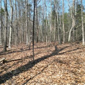 Photo #33 of Tilden Nursery, Lexington, NC 10.0 acres