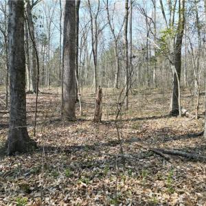 Photo #15 of Tilden Nursery, Lexington, NC 10.0 acres