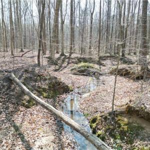 Photo #11 of Tilden Nursery, Lexington, NC 10.0 acres